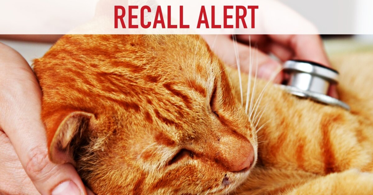 BREAKING NEWS Four Lots of Pet Food Recalled The Animal Rescue Site Blog