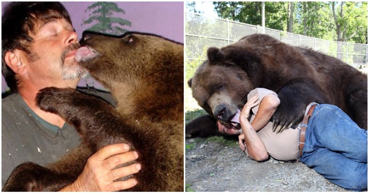A Man Rescued An Orphaned Bear Cub. 21 Years Later, They're Bond Is