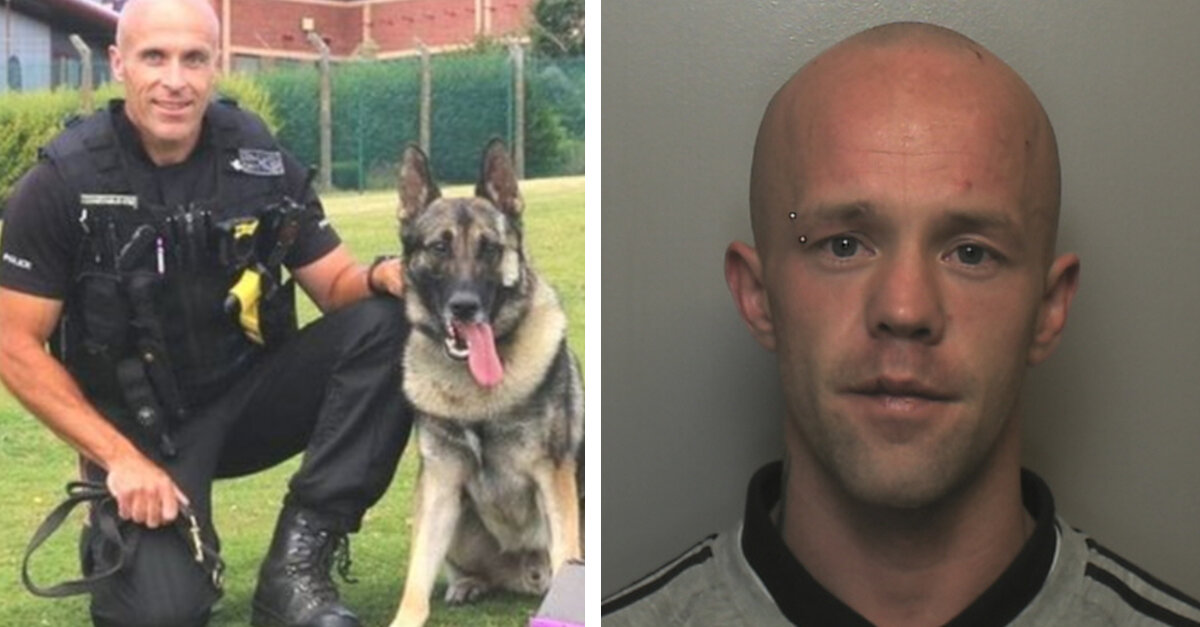 Man Who Stabbed Police Dog In The Head Is The First To Be Jailed Under
