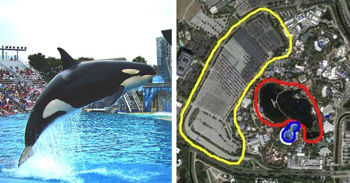 Map Contrasting SeaWorld Orca Pool Next To A Leisure
