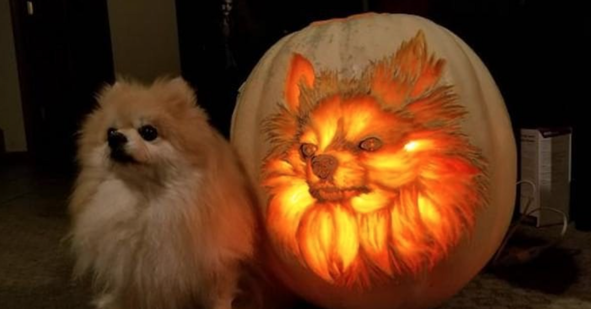 Artist Carves A Detailed Portrait Of His Pomeranian On A Pumpkin