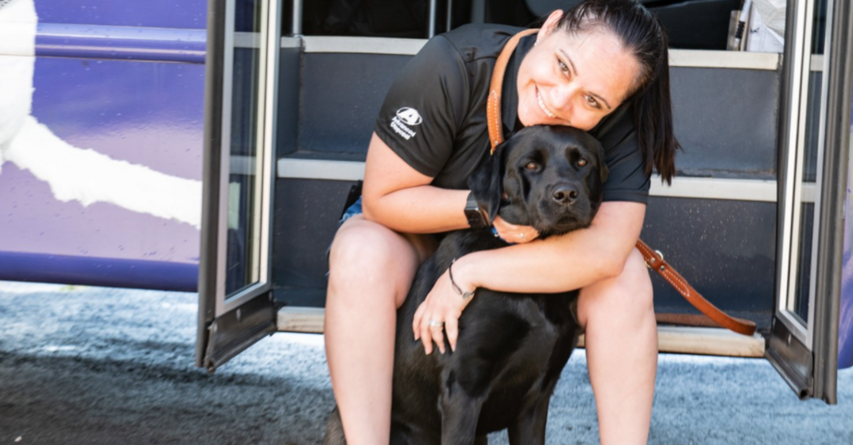 image - Air Force Veteran With PTSD Has A New Life Thanks To Her Service Dog