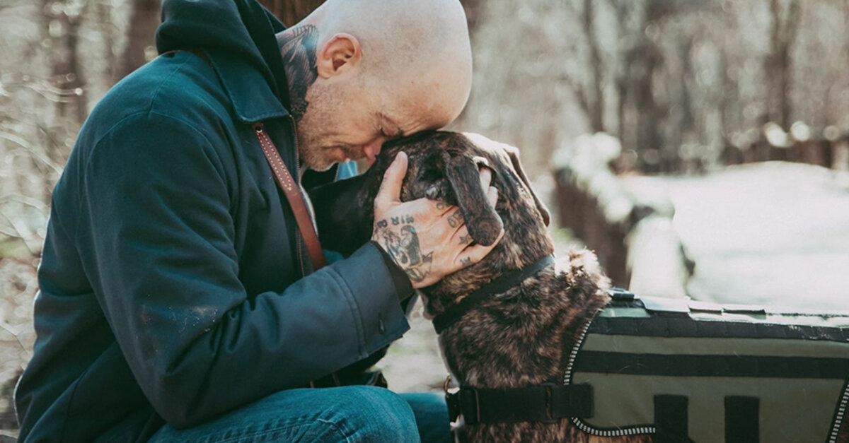 After Defusing Explosives Left Him Shaken, Navy Veteran Finds A Comforting Friend In Rescue Dog
