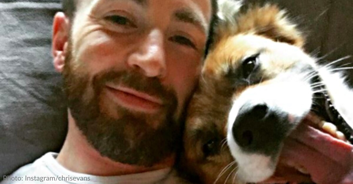 Chris Evans Shares Touching Video Of First Time He Met His Rescue Dog Dodger