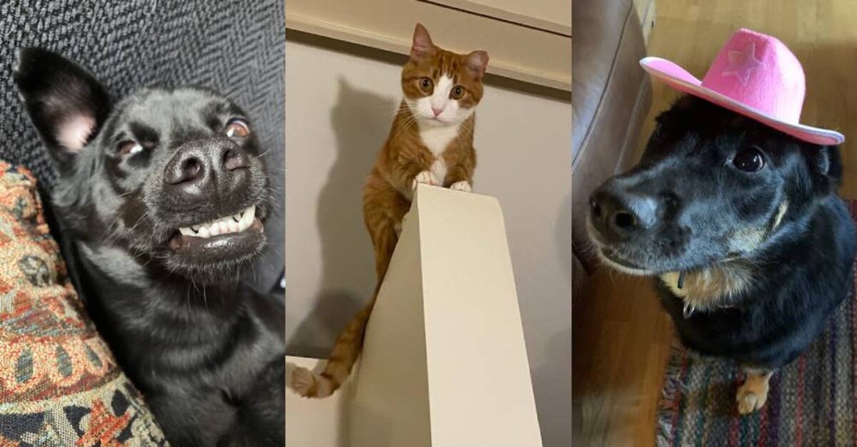 Get a Pick-Me-Up From These Miles of Smiles Finalists