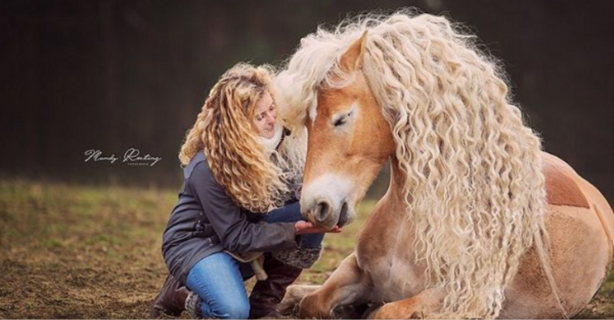 Horse’s Mane With Long Blonde Curls Matches Her Owner’s Hair