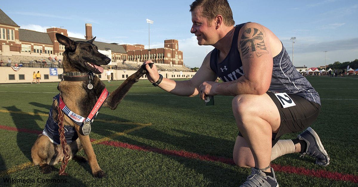 “PAWS for Veterans” Act Seeks VA Funding for PTSD Service Dogs, Headed to President’s Desk