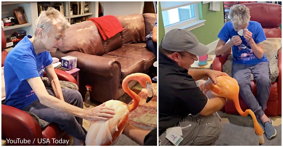 Terminally Ill ‘Flamingo Lady’ Gets Emotional After Dying Wish Comes True
