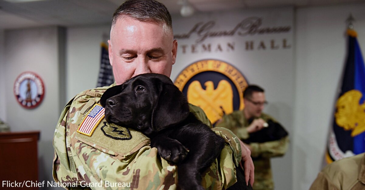 VA Hospital Prohibited Service Dogs, Leading To Veteran’s Suicide