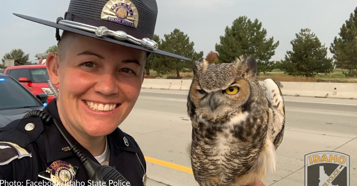 Idaho Police Officer Helps Rescue Owl Trapped In Plastic On Busy Highway |  OC Shelter Pets
