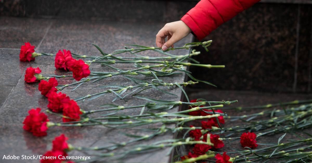 День траура после крокуса. Цветы которые в Японии символизирует траур. Фото день траура 23 февраля. Carnations Mourning.