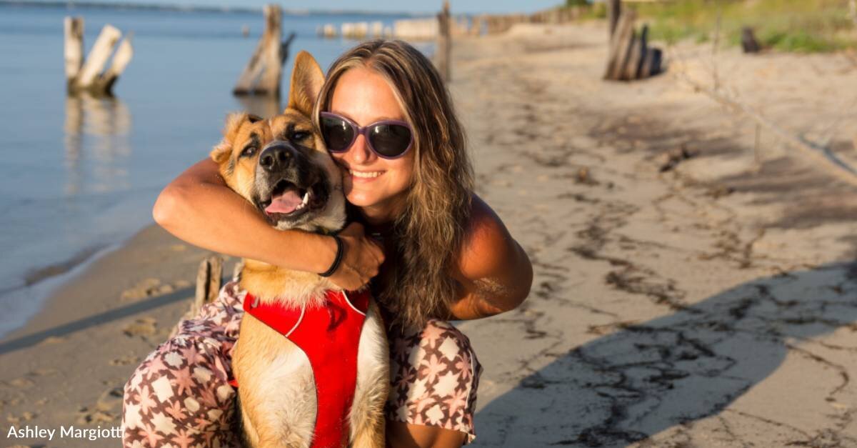 Rescue Dog Goes From Scared and Confused to an Avid Canine Traveler