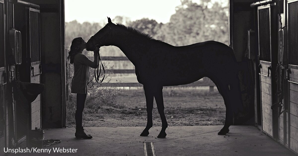 Adopted Horse Helps Girl With Crippling Anxiety Feel At Ease & Changes Her Life