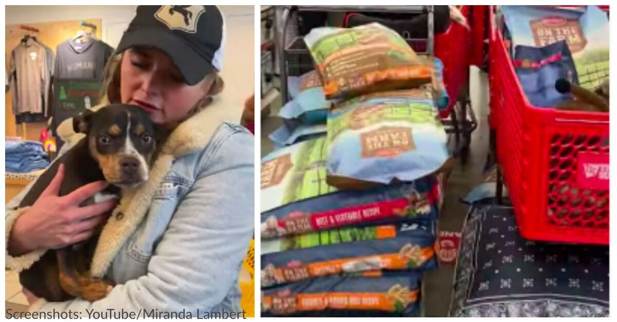 Miranda Lambert Donates Much-Needed Supplies To Animal Shelters In Tennessee