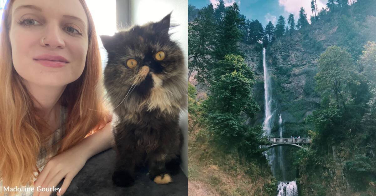 Woman Travels to Dozens of Cities by Taking on Local Cat Sitting Jobs