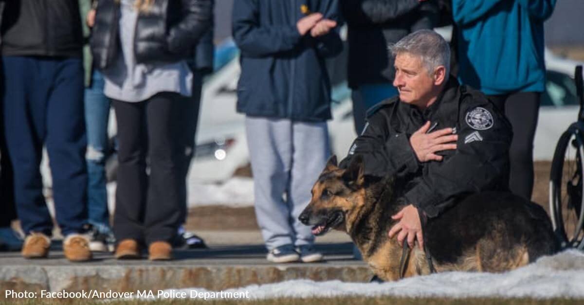 Veteran Police Dog Gets Heroes’ Farewell Before Crossing Rainbow Bridge