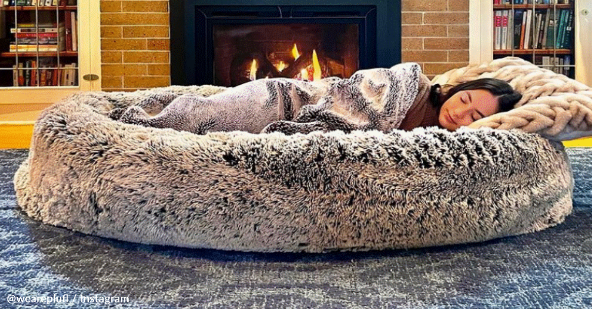 Students Design Giant Dog Beds But For Humans