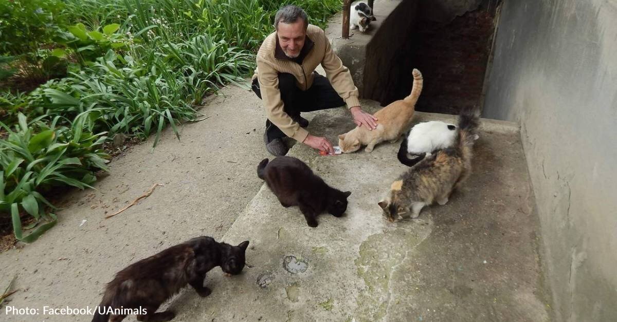 Ukrainian Man Ventures Into War-Torn Streets To Continue Late Wife’s Mission To Feed Homeless Pets