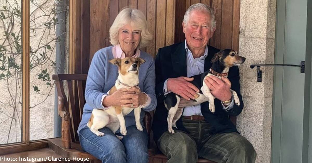 image - Jack Russells, Bluebell &amp; Beth, Will Be First Rescue Dogs To Live At Buckingham Palace