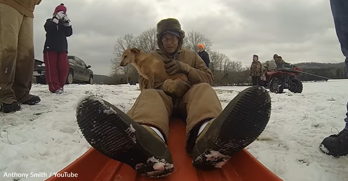 90-Year-Old WWII Vet Goes Sledding With His Dog