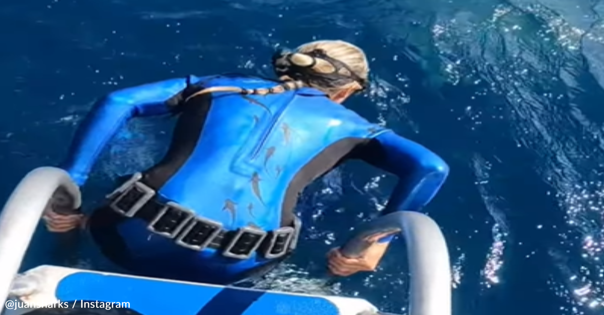 Scientist Nearly Jumps Into A Shark's Mouth While Snorkeling In Hawaii