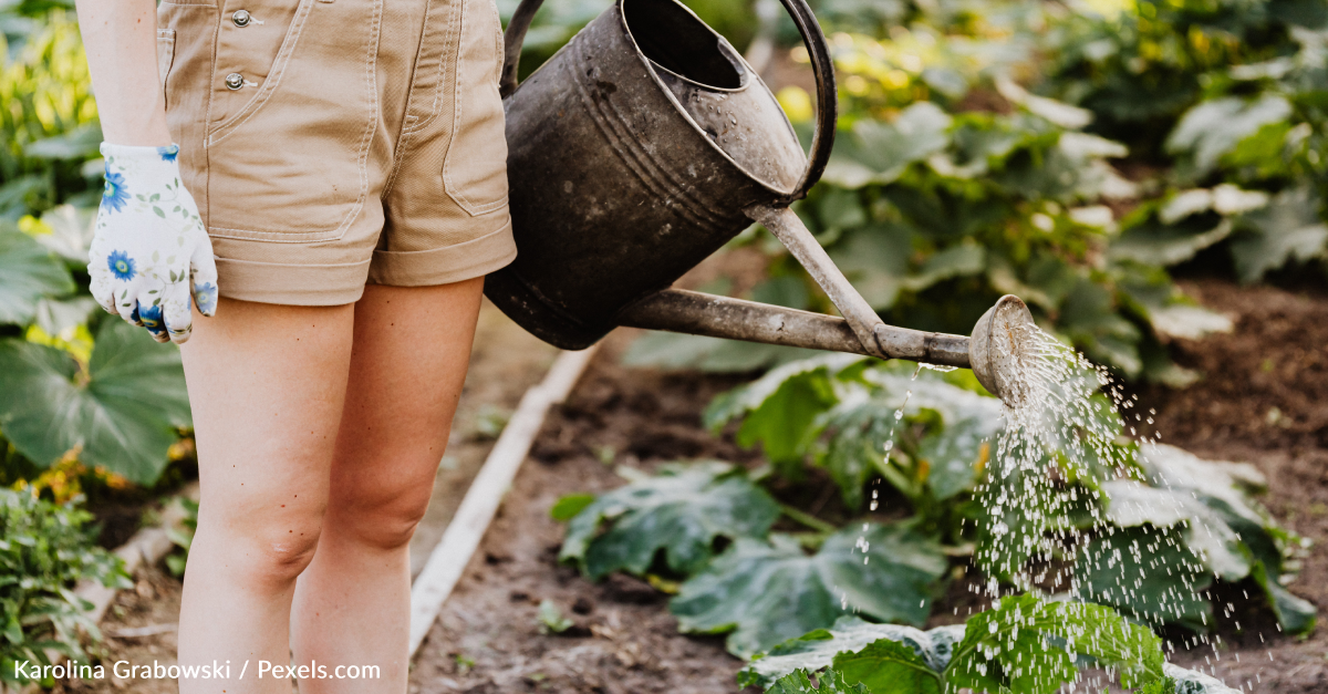 Research Found Gardening Helps Reduce Loneliness And Boosts Overall Wellbeing