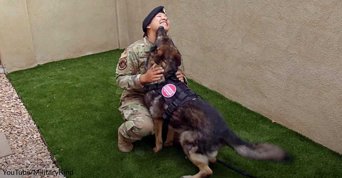 Airman Has Emotional Reunion With Her Retired K9 Partner After Adopting Him
