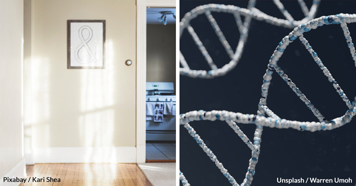 Couple Has A Framed DNA Test Of Their Son Hanging In Their Living Room For One Petty Reason