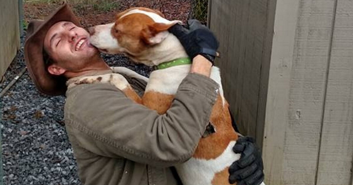 This Dog Is Giving Kisses To Her Hero, Who Saved Her From 