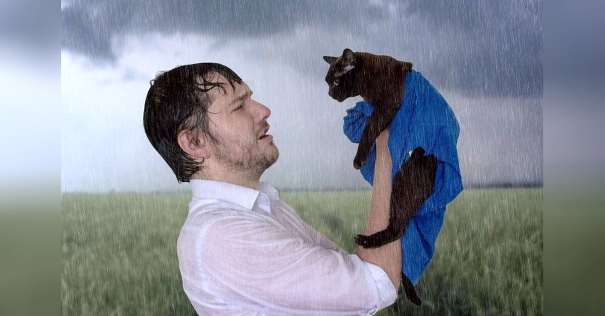 Iconic Movie Scenes Recreated With Cats - The Animal Rescue Site News