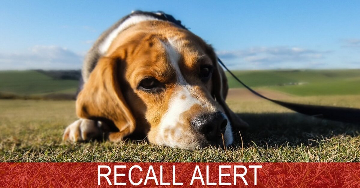 Breaking News Major Pet Food Recall Due To Elevated Levels Of Beef Thyroid Hormone The Animal Rescue Site News
