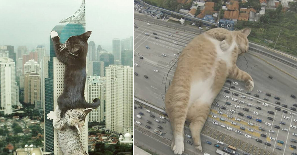  Giant  Cats  Photoshopped Into These Cinematic Shots Are Our 