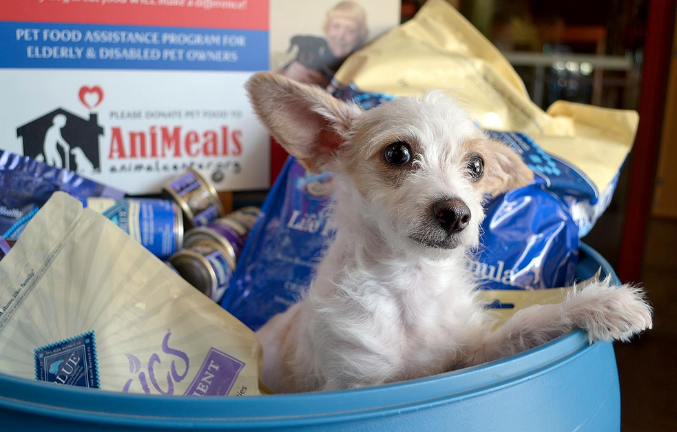Animal Center Is Giving People Who Lost Their Jobs Due To The Coronavirus Free  Pet Food - The Animal Rescue Site News