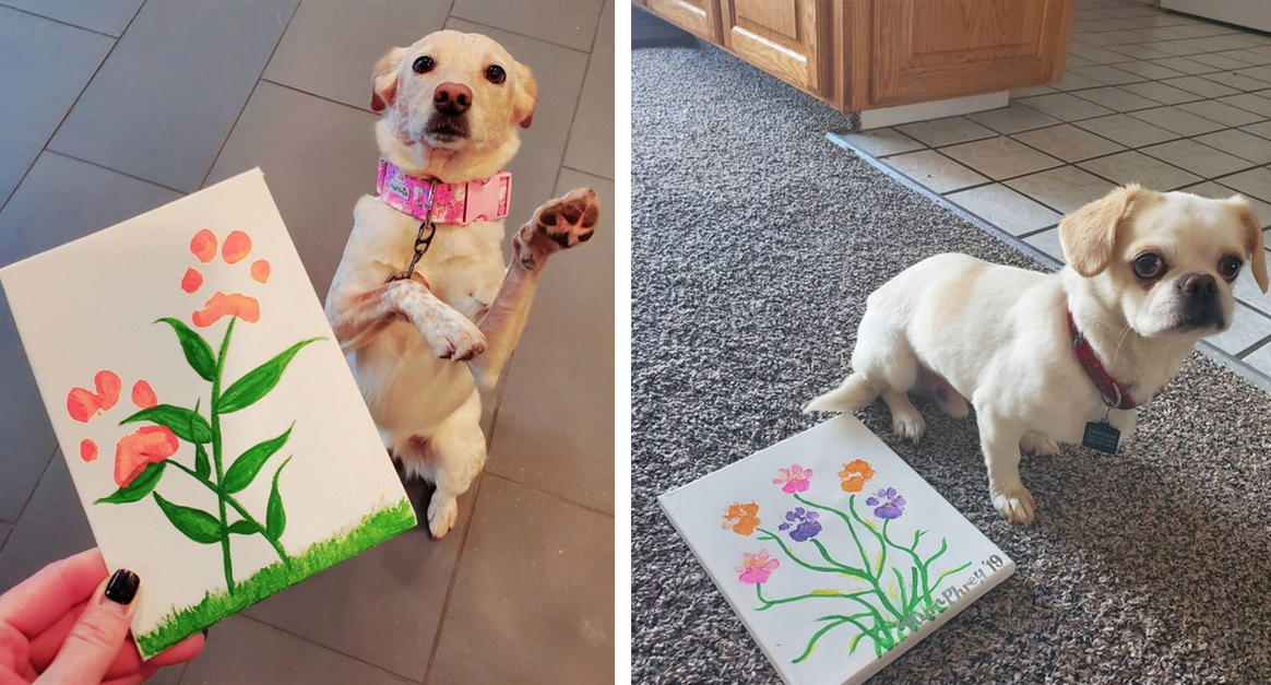 How To Safely Make 'Paw Print At Home With Your Dog - The Animal Rescue Site News