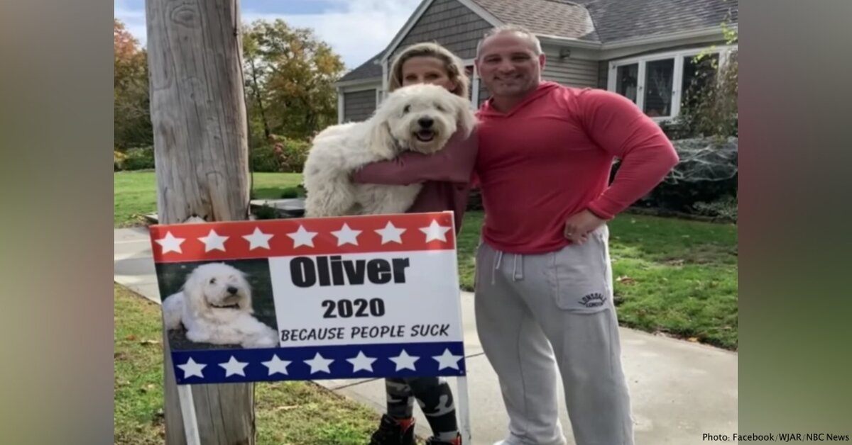 Dog Running For President To Help Humans Cope With 2020 ...