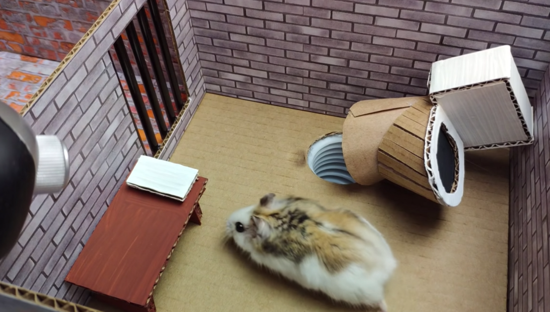 cardboard hamster maze