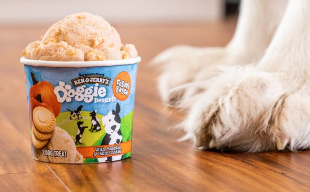 Можно собакам сметану. Собачье мороженое. Мороженое для собак Ice. Мороженка для собак. Мороженое Тотошка.