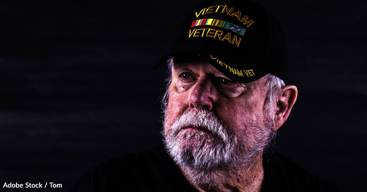 pledge to veterans essay ideas