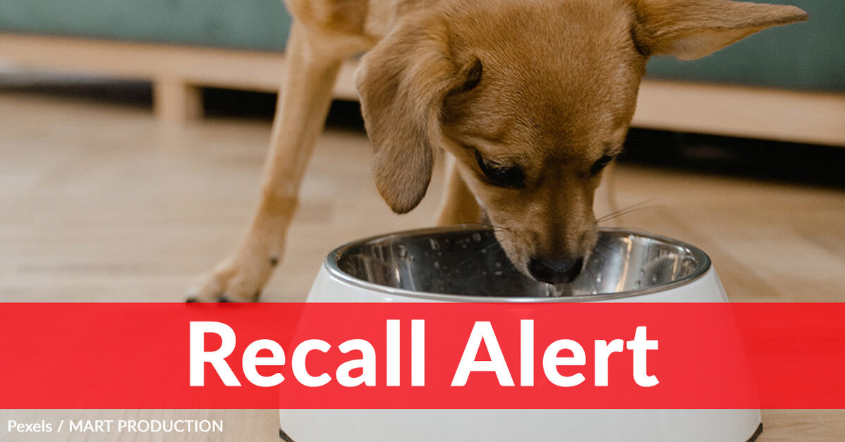 Is There A Recall On Purina Dog Food